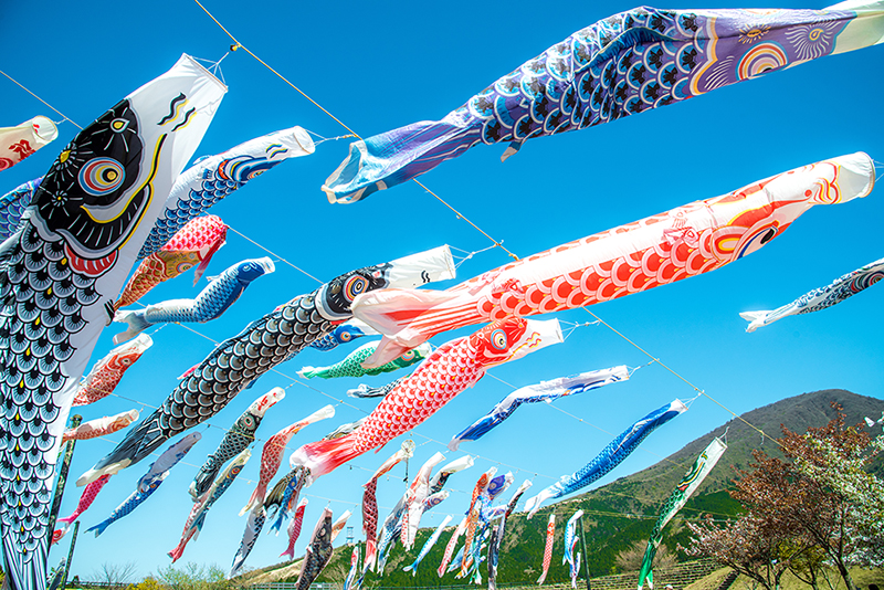 お祝事・法事向け弁当